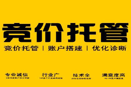 百度推广成功案例分析